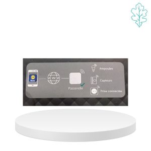 Smart Home