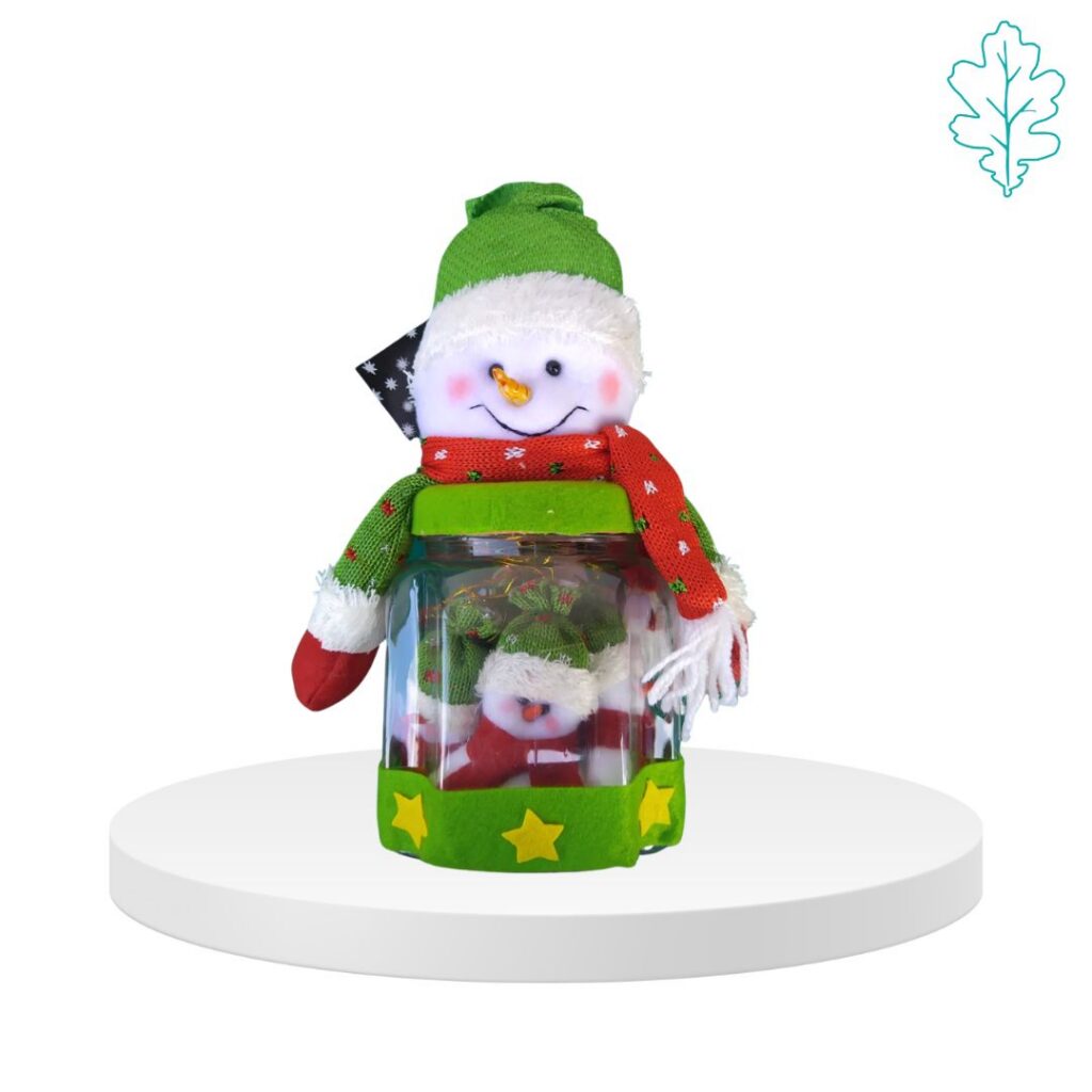 Set addobbi Pupazzo di neve