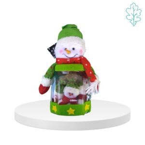Set addobbi Pupazzo di neve