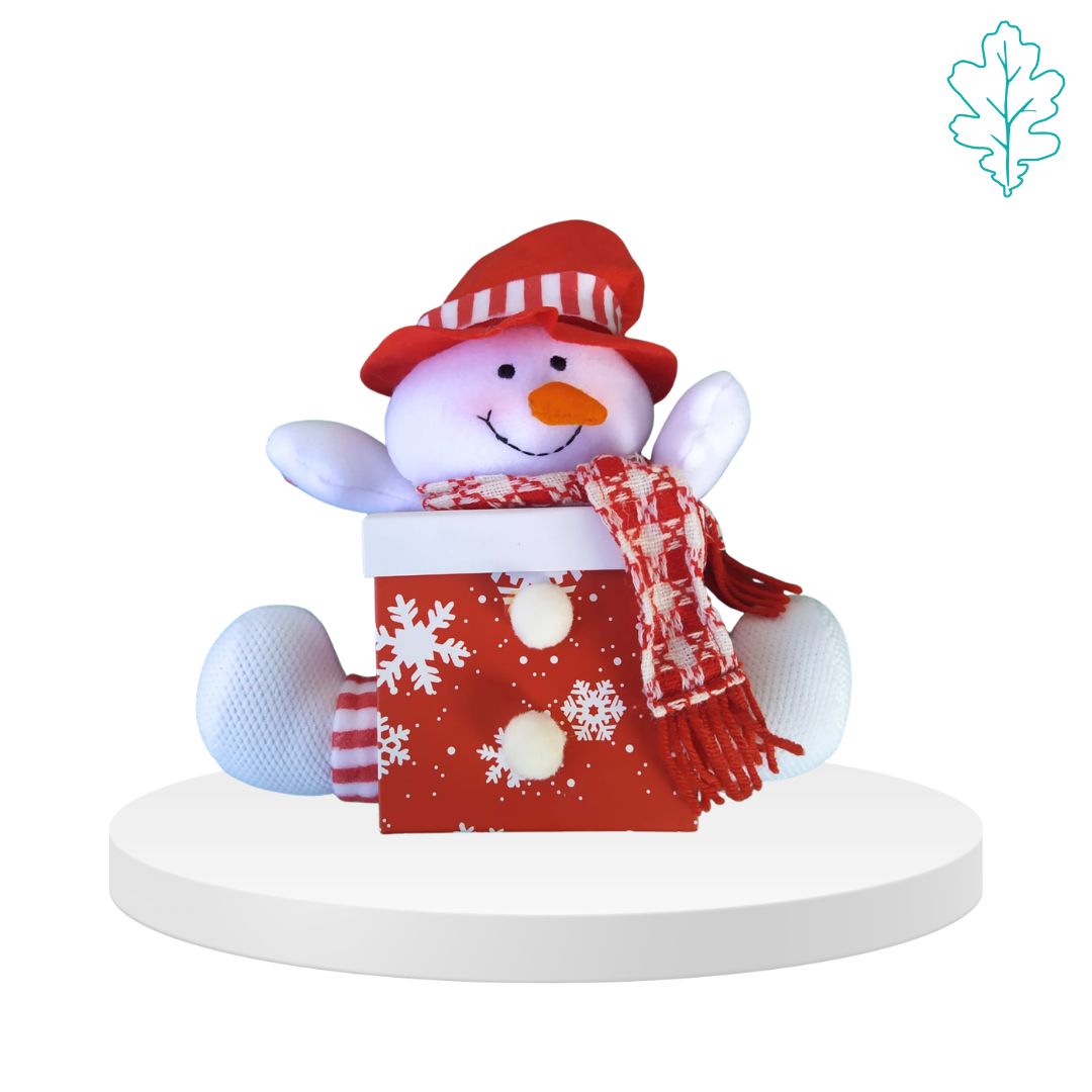 Pupazzo Scatola regalo Natale